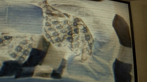 5247da26563d.png