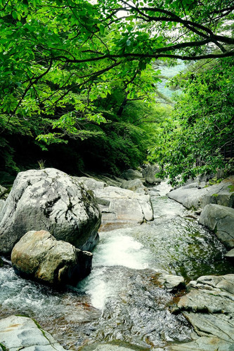 Korea Nature.jpg
