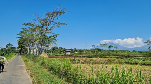 428, lt5000, 1.6 m.jpg