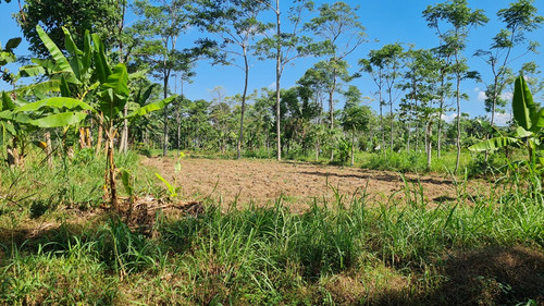 430 ds ngargosari.jpg