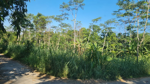 450, lt 700m, 500rb permeter, mas riyan.jpg