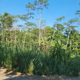 450, lt 700m, 500rb permeter, mas riyan