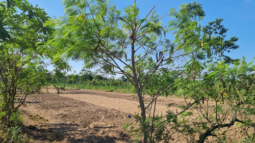 431 ngargosari, 500rb meter, luasa 4000.jpg