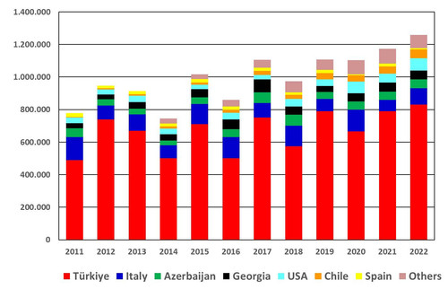 Hazelnuts RT Hasan Sabir rev.jpg