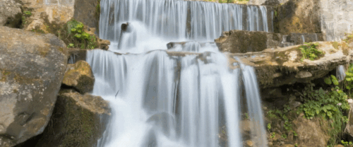 Untitled design (1).gif