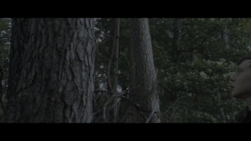 1917 (2019) Remux 2160p.mkv.1:29:07.png