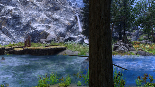 3. Tree Branch.jpg