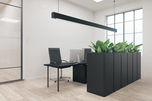 Nirvana architectural light.jpg