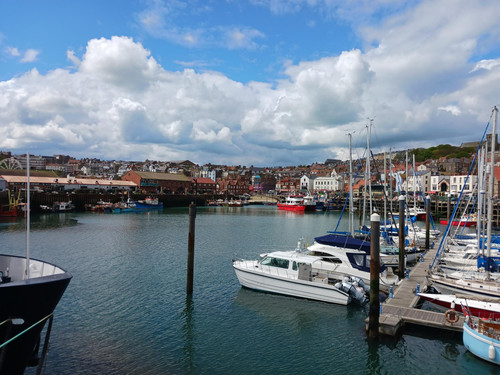 processed 73e9cd7e 842b 4bce 8d3b 476abd2ad3a6 H4WxmZeQ.jpg