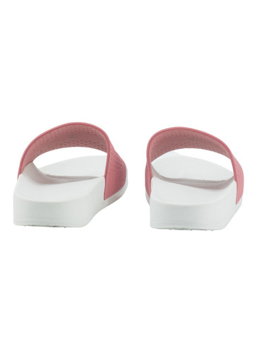 26364 1 PhotoRoom (2).jpg