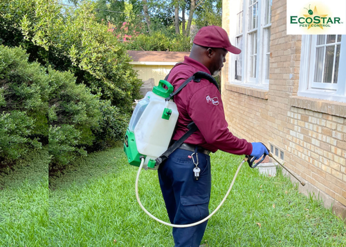 Pest Control Flower Mound.png
