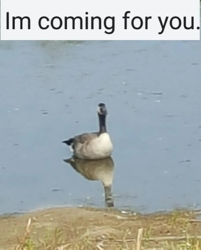 1685802681551.jpg