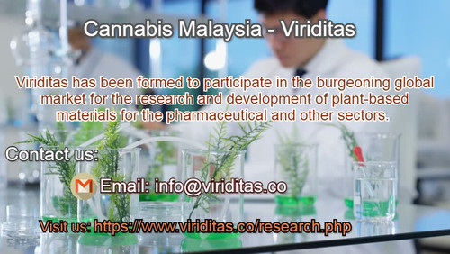 Cannabis Malaysia Viriditas.jpg