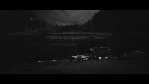 323d589a9b4a.png
