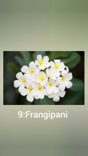 Resizer 168130979942117.jpg