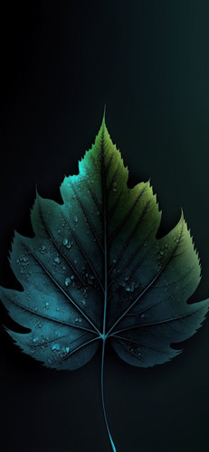 IMG 20230604 225805.jpg