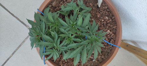 IMG 20230604 182804.jpg