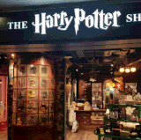 ElderlyBestHeterodontosaurus size restricted.gif