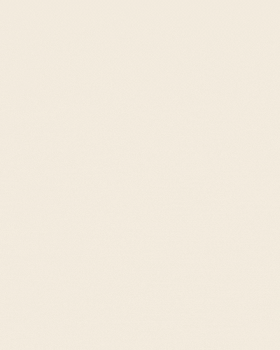 teddy GIF.gif