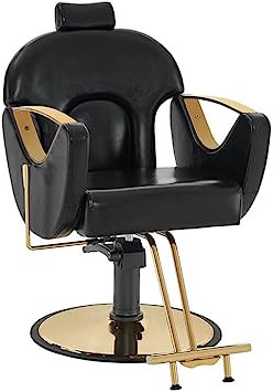 41DpHeUErtL. AC SY355 .jpg