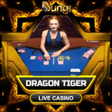 dragon tiger.gif