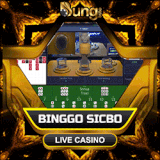 binggo sic.gif