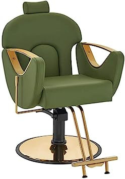 41n+UAj8rhL. AC SY355 .jpg