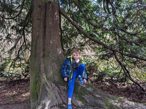 PXL 20230401 201056769.MP.jpg