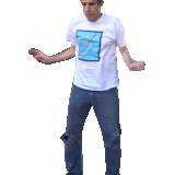 terry2.gif