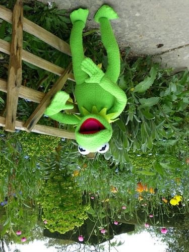 kermit 123493 1280.jpg