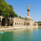Commercial Photo (1003)