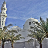 Commercial Photo (995)