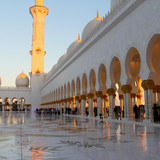 Commercial Photo (1012)