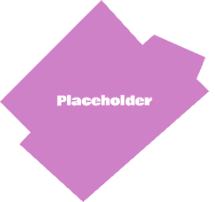 Magenta Section.png