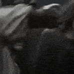 engarde2.gif