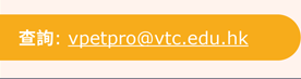email.png