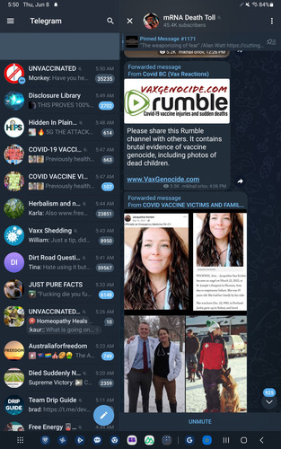 Screenshot 20230608 055009 Telegram.jpg