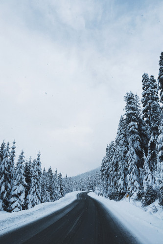 Commercial Photo (123).jpg