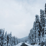 Commercial Photo (123)