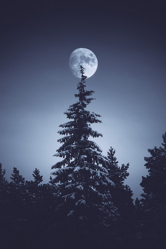 Commercial Photo (185).jpg