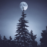 Commercial Photo (185)