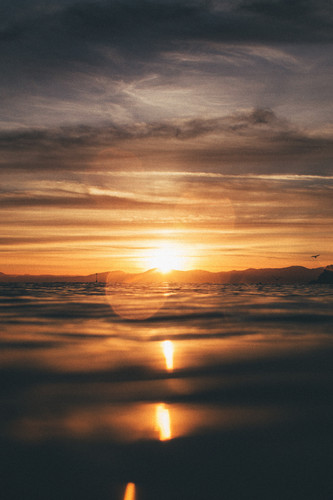 Commercial Photo (231).jpg