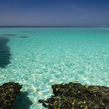 Commercial Photo (228)