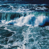 Commercial Photo (291)