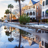 Commercial Photo (306)