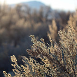 Commercial Photo (287)