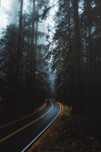 Commercial Photo (303).jpg