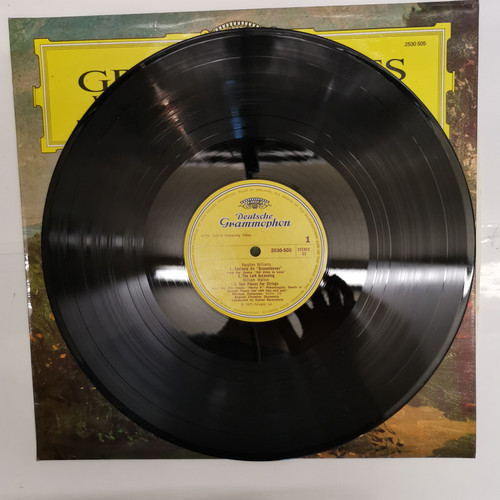 IMG 20230607 153252.jpg