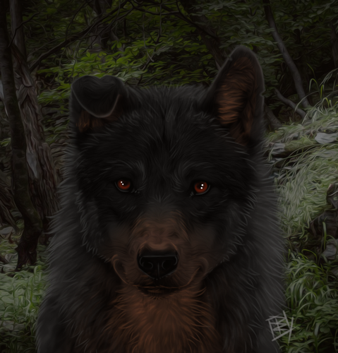 dfz1knn 76e0dda7 b696 4eea 90a3 10c56aeb6897.png