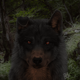 dfz1knn 76e0dda7 b696 4eea 90a3 10c56aeb6897